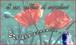 8 ans - Coquelicot