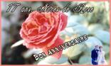 17 ans - Rose