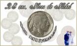 28 ans - Nickel