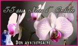 55 ans - Orchidée