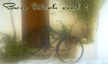 Bon week end !