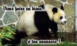 Viens faire un bisou