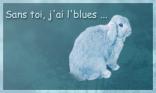 Sans toi, j ai l blues !