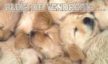 Plein de tendresse...