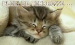 Plein de tendresse...