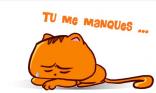 Tu me manques