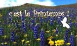 C est le Printemps !