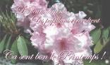 Ca sent le Printemps !