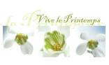 Vive le Printemps