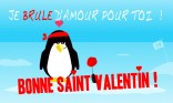 Je brule d'amour pour toi