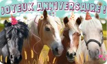 Anniversaire - Poney