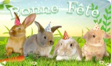 Bonne fête - Lapin