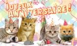 Anniversaire - Chat