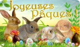 Les lapins de Pâques