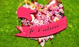 Je t'aime