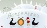 Nouvel An - animaux