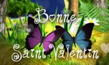 Bonne Saint Valentin