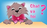 Petit chat-lut
