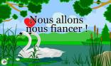 Il y a des cygnes