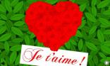 Je t'aime