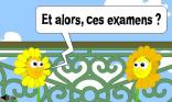 Le bac