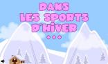 Les sports d hiver