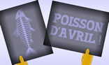 radiographie poisson d'avril
