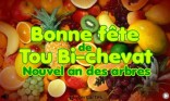 Tou Bi-chevat