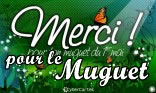 Merci pour le muguet