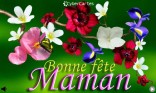 Joyeuse fête des mères