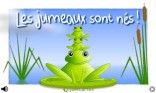 Les jumeaux sont nés