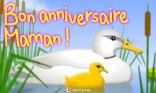 Anniversaire maman - 1 an de plus