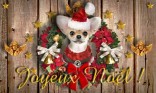 Chien de Noël