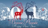 Bonne Année - rennes