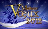 Meilleurs Voeux  - bleus