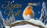 Joyeux Noël - oiseau