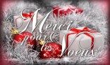 Merci pour vos voeux