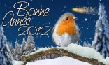 Bonne Année - oiseau