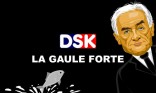 Poisson d'avril - DSK