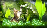 Muguet du 1er mai - chaton