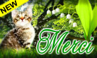Merci muguet - chaton