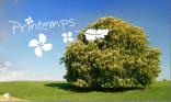 Printemps