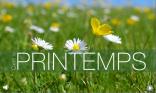 C est le Printemps !