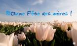 Bonne fête !