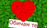Bulgare