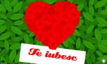 Roumain