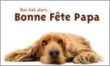 Bonne fête Papa !