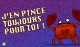 J en pince toujours pour toi