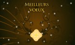 Meilleurs voeux