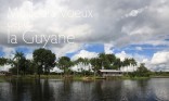 Voeux Guyane